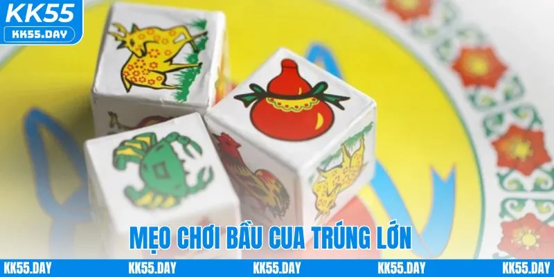 Mẹo chơi bầu cua rinh thưởng nhanh