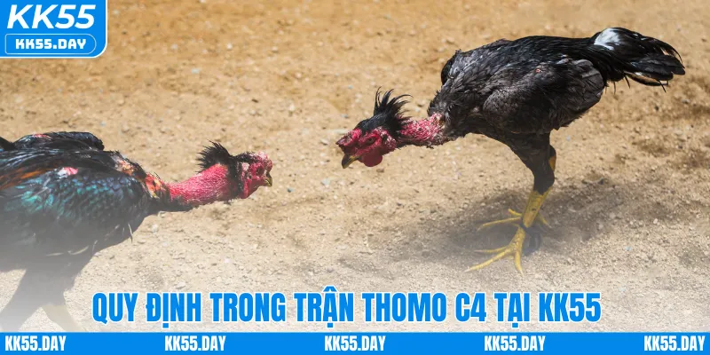 Quy định trong trận Thomo C4 tại KK55